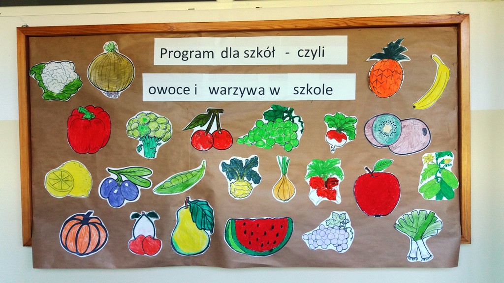 PROGRAM DLA SZKÓŁ