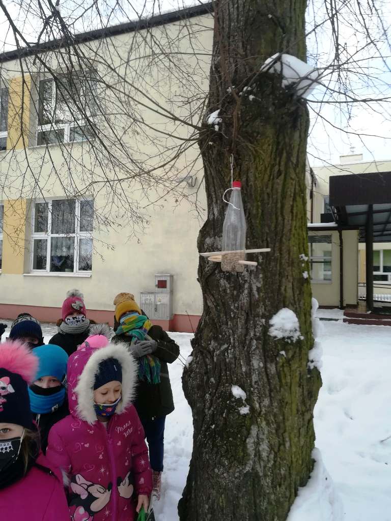 STOŁÓWKA DLA PTAKÓW